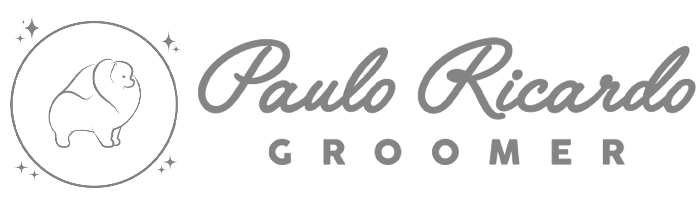 Paulo Ricardo Logo
